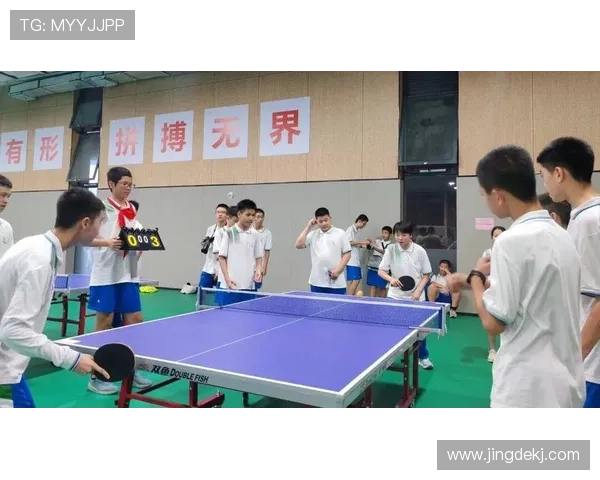 乒乓球的魅力与坚持：深入了解杭州乒乓球队的耐力训练与精神风貌